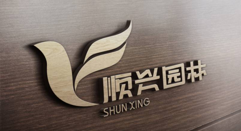 峨山VI设计：城市品牌蝶变的核心引擎